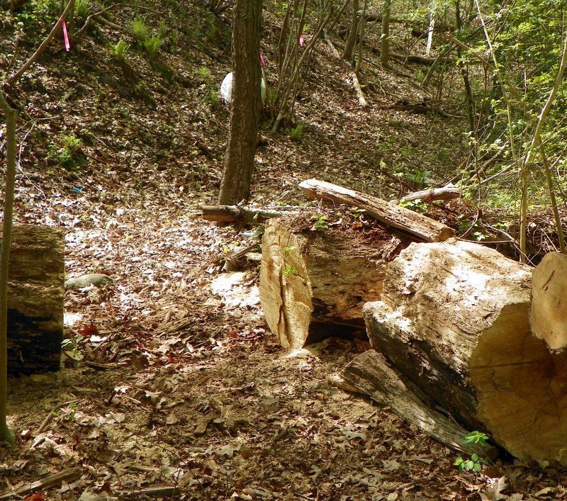 Cleared Log